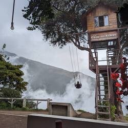 Las Casas Del Árbol