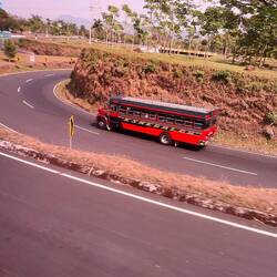 These are old yellow school buses from the US and are called chicken buses