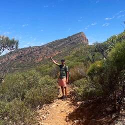 Wolf kämpft den Weg mit seinem Spinnennetz-Fänger frei