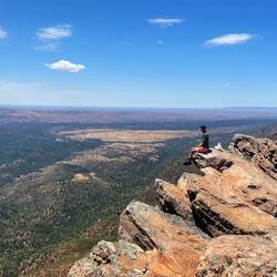 Wolf und der eingetütete Nudelsalat