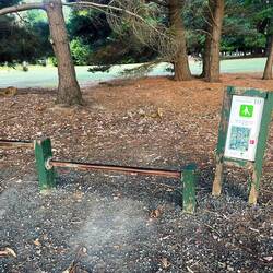 Das neueste Fitnessgerät😂