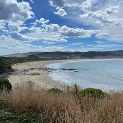 Porpoise Bay bei Curio Bay