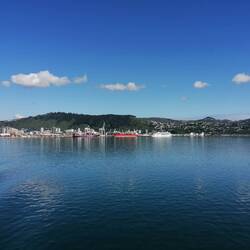 Ciao Wellington. 👋🏼😉