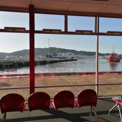 📍Bluebridge Cook Strait Ferry Wellington Terminal, Pipitea, Wellington, Neuseeland 🇳🇿