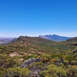 Grünes Wilpona Pound Valley
