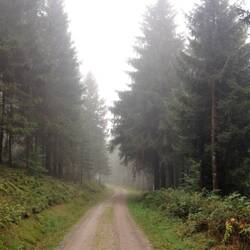 nebelverhangener Westweg