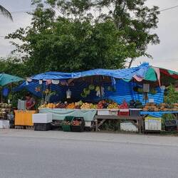 Und zum Schluss noch ein bisschen Obst gekauft