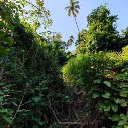 Diese sah dann so aus, hat uns aber später auf den richtigen Pfad gebracht