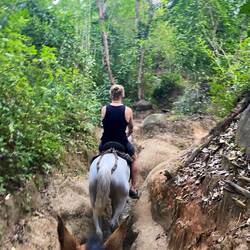 30 min. Ritt durch den Dschungel von Don Juan zu unserem Camp Don Pedro
