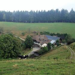 ein Blick zurück zum Harkhof