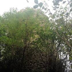 Burg Husen