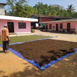 Pfeffer sonnengetrocknet