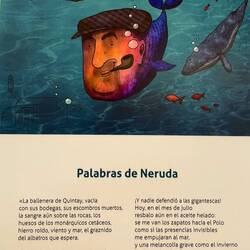 Gedicht von Neruda zum Walfisch