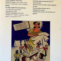 Das alles wird aus einem Walfisch gemacht.