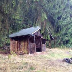 die zugige Schutzhütte auf dem Doldenbühl