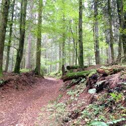 Hier geht es mal wieder steil bergauf