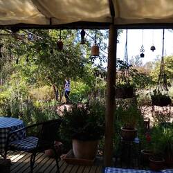 Blick aus dem Kaminzimmer hinaus in den Garten