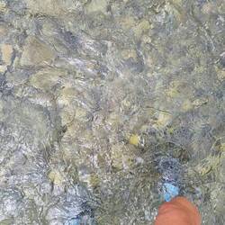 Flussüberquerung Nummer ...