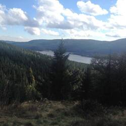Der Lohn der Mühe für einen Aufstieg: ein schöner Blick vom Bildstein zurück auf den Schluchtsee