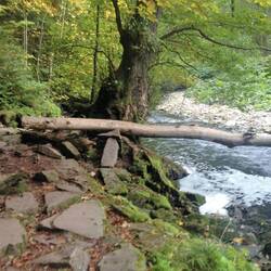 weiter durch die Wutachschlucht
