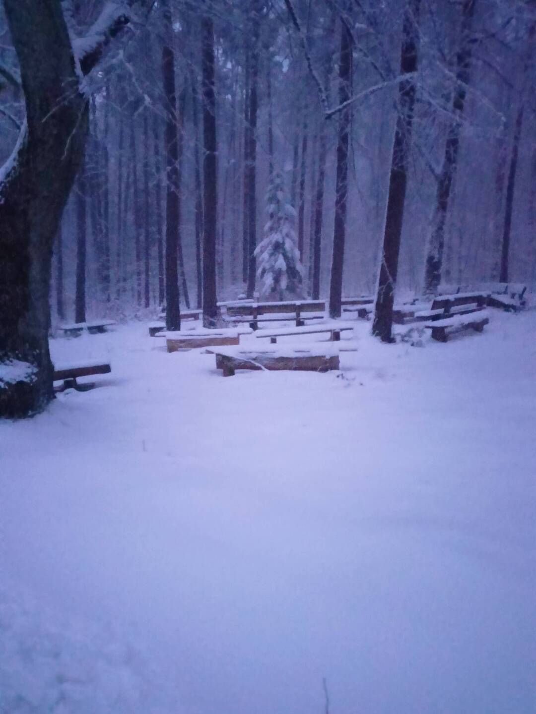 Thingplatz Spaal
