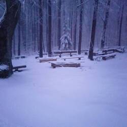 Thingplatz Spaal