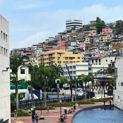 View of a section of the city