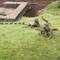 The park is famous for its iguanas