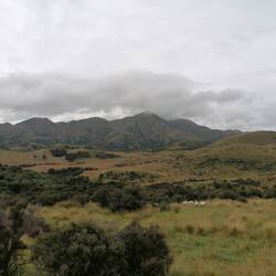 ⛰️⛰️⛰️⛰️🐑🐑🐑🐑