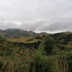 Auf der Fahrt von Kaikoura nach Hanmer Springs. 🚐