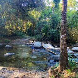 Geht auch ohne die Brücke