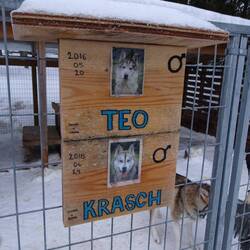 ... Krasch ...