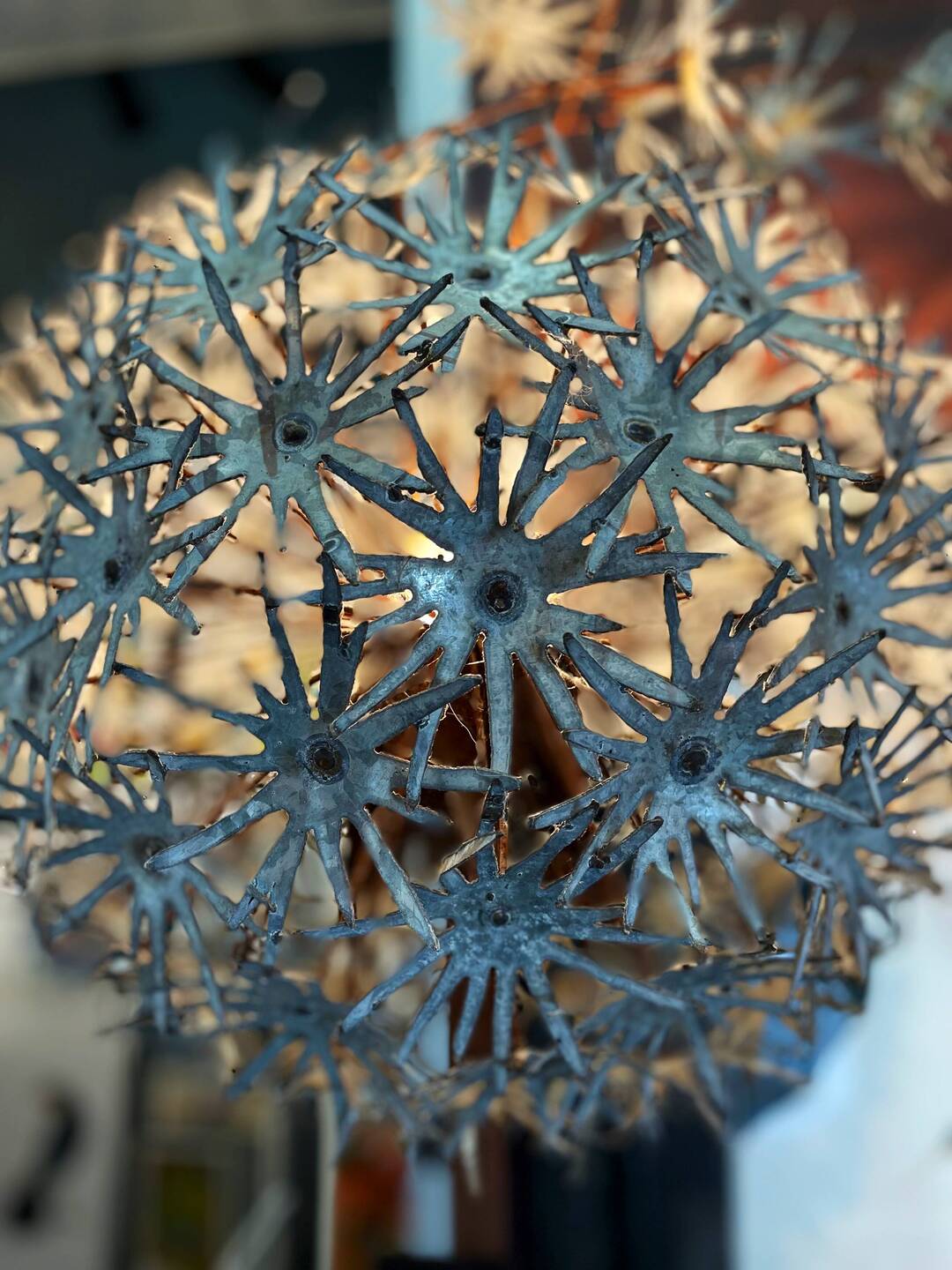 Pusteblume, die mystische Blume