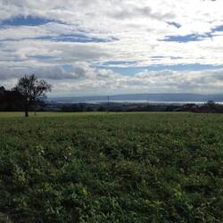 Jetzt ist der Bodensee schon ganz nah. Einziger Fehler: es ist nicht der Bodensee!
