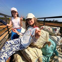 A l'arriere d'un pickup qui transporte du bois