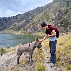 Neue tierische Bekanntschaften 🫏