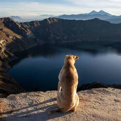 Wir bekommen Gesellschaft 🐕