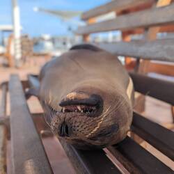 Living the life 🥰