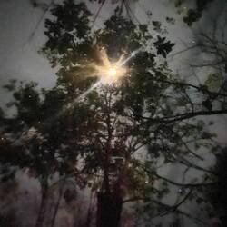 Durch's Moskitonetz der Hängematte fotografiert...