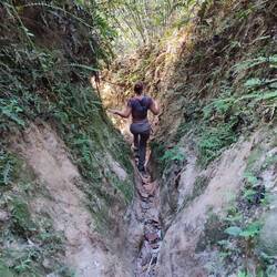 Zum Ende hin war der Weg sehr durch den Regen gezeichnet