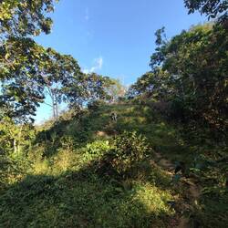 Dieses Bild lässt den steilen Abhang erahnen