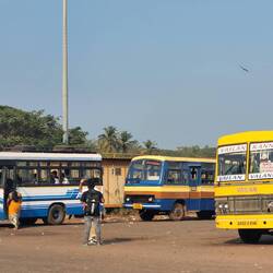 Die Busse sind alle bunt gemalt