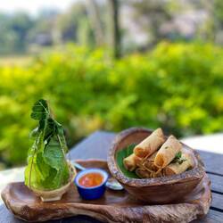 Vegetarische Spring Rolls