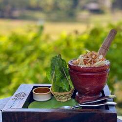 Spucy green papaya salad