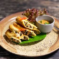 Spring rolls with shrimps