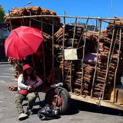 Getrocknete Algen! Und das Foto kostet 1,80 Euro extra!