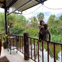 You'll never eat alone :)