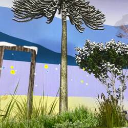 Araucania-Baum im Trickfilm