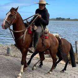 Dieser Huaso (nicht Gaucho) verlässt gerade die Fähre.