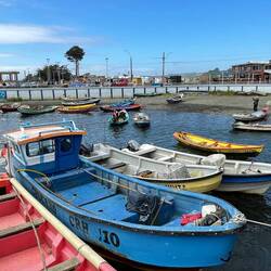 Puerto Saaverdra, nach dem Kauf des Fischkaufs